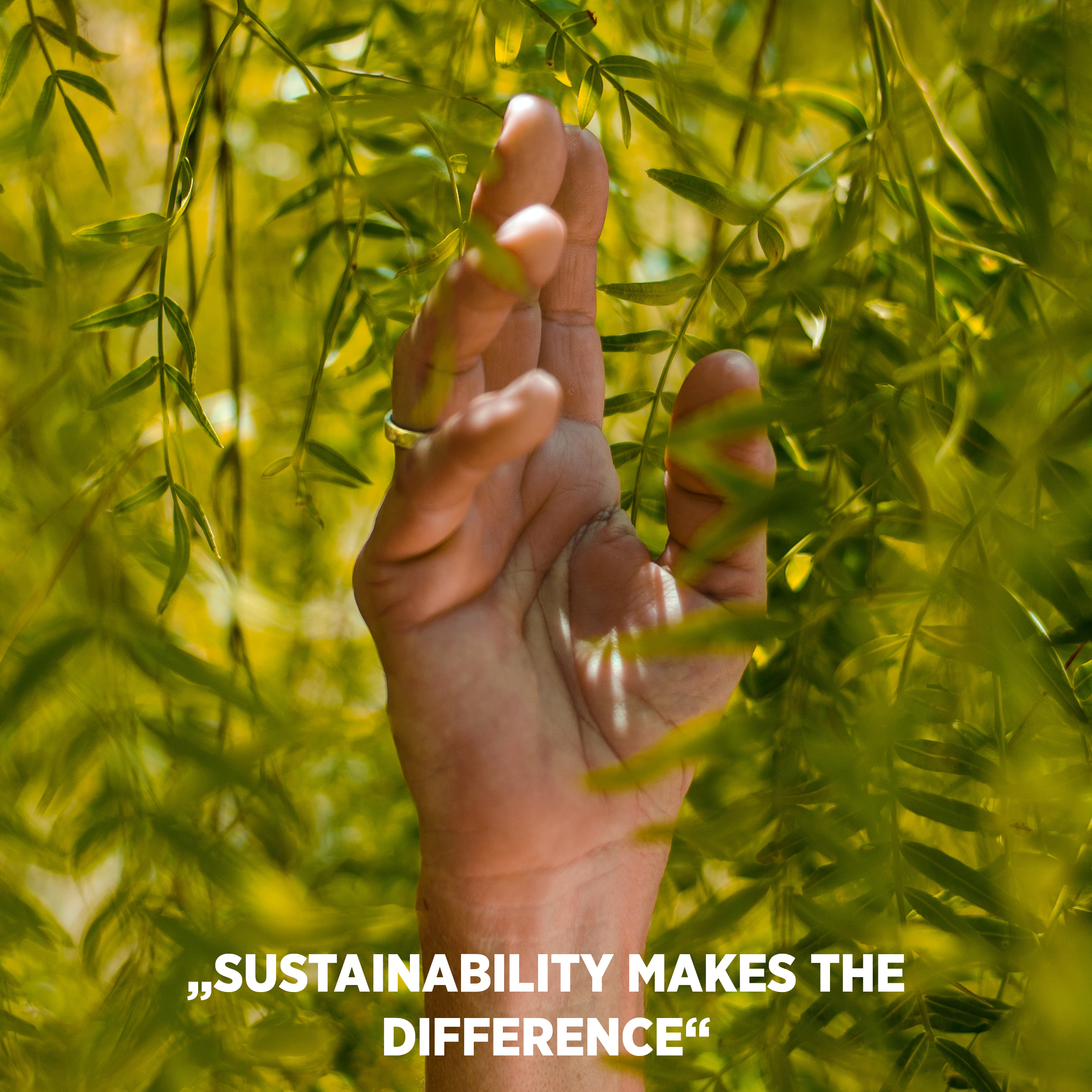 SUSTAINABILITY STRATEGY PROLICHT (2)