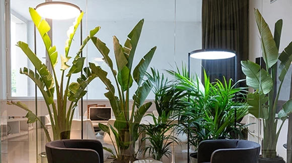 Robonica Giampiero Peia Life Stehleuchte Pflanzen Design Leuchte Buero