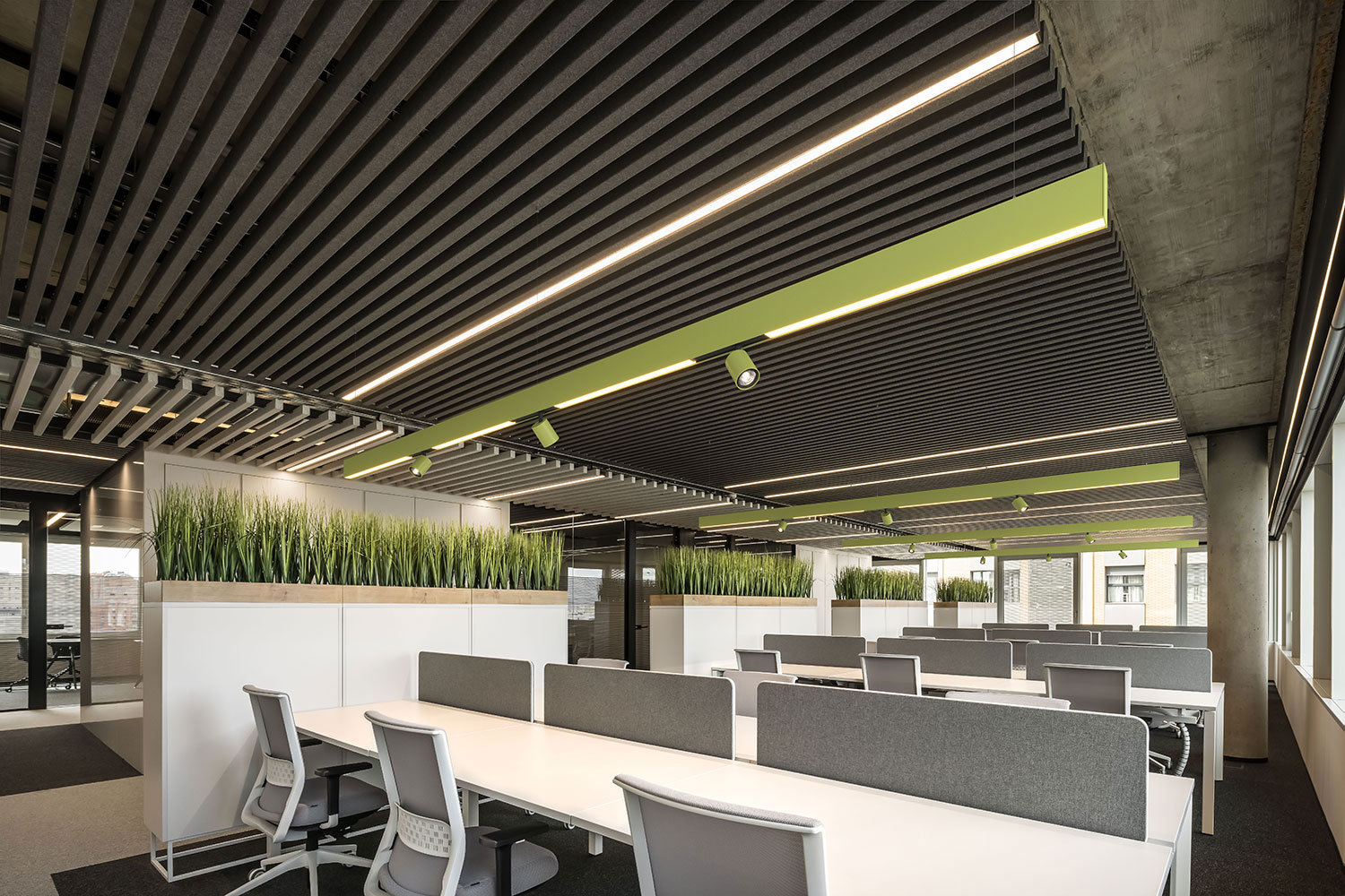 Colors Gruenes Profilsystem Mit Schienenstrahler Buerobeleuchtung