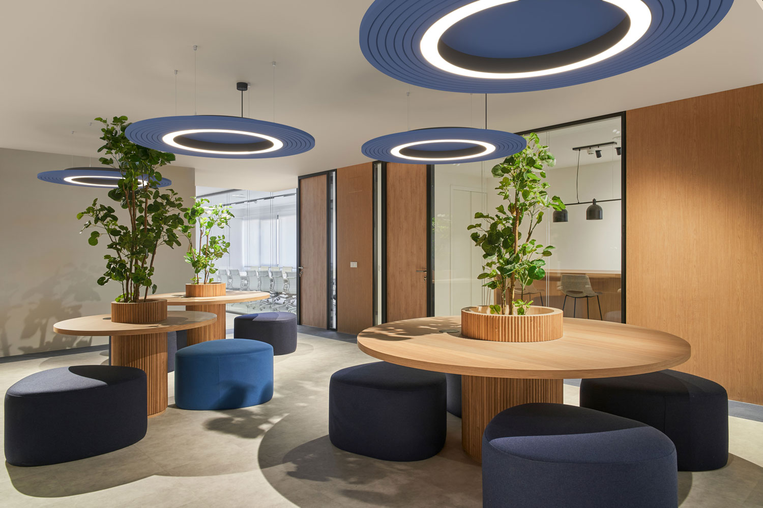 Blue, round, flat acoustic lamp in a shared office space.