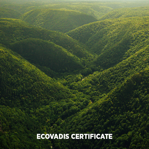 Nachhaltigkeit Auszeichnung Ecovadis 2024 Prolicht Leuchtenhersteller Oesterreich