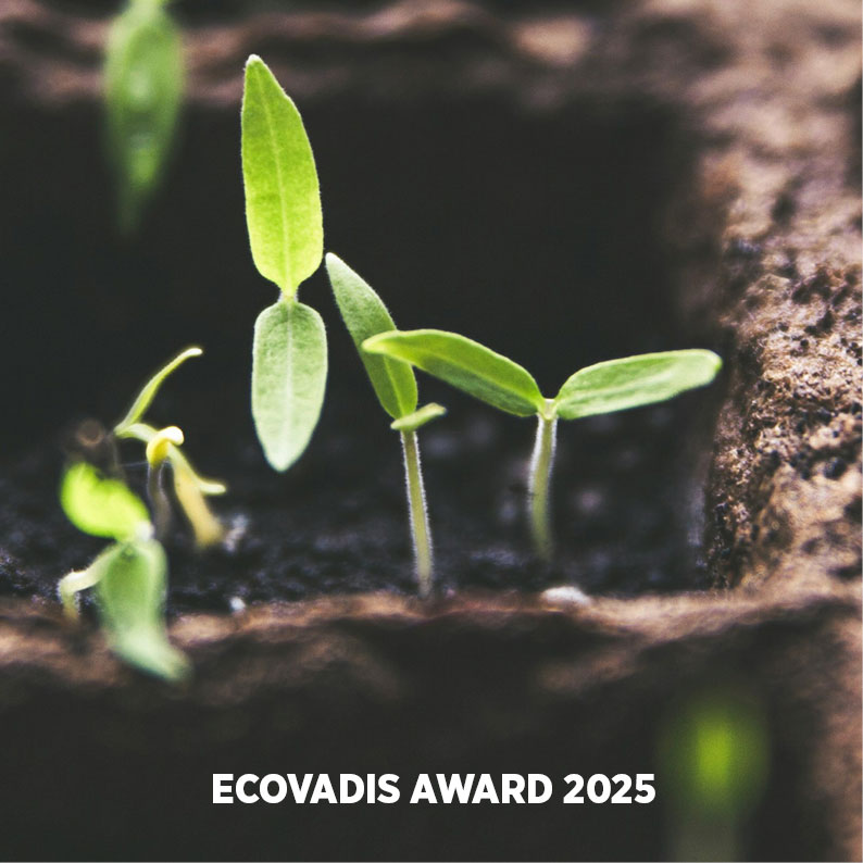 Ecovadis Award 2025