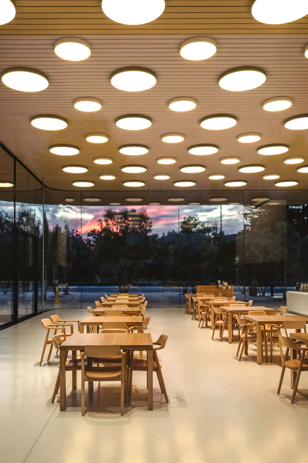 Sign Evo Runde Deckenleuchten In Lernzone