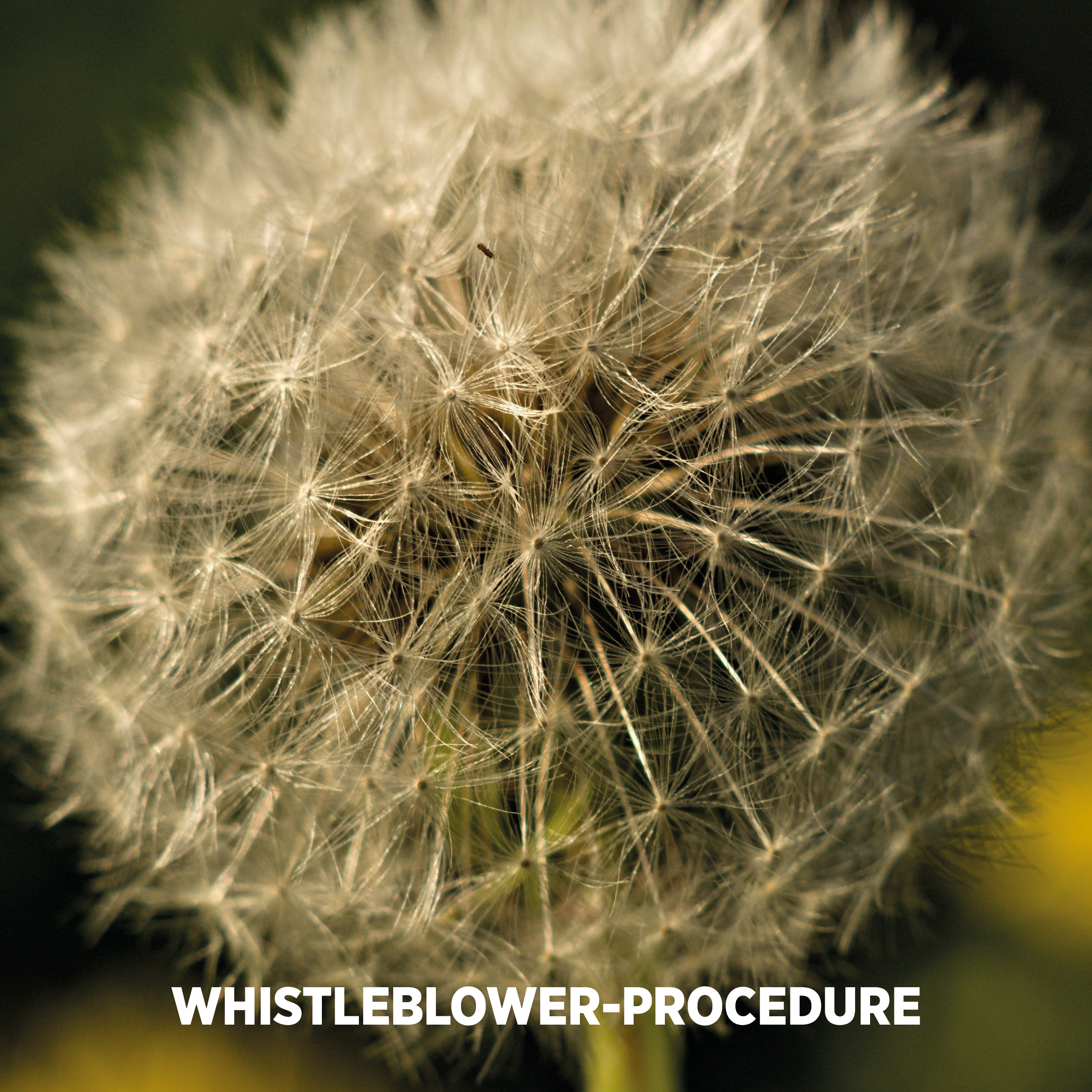 WHISTLEBLOWER PROCEDURE (1)