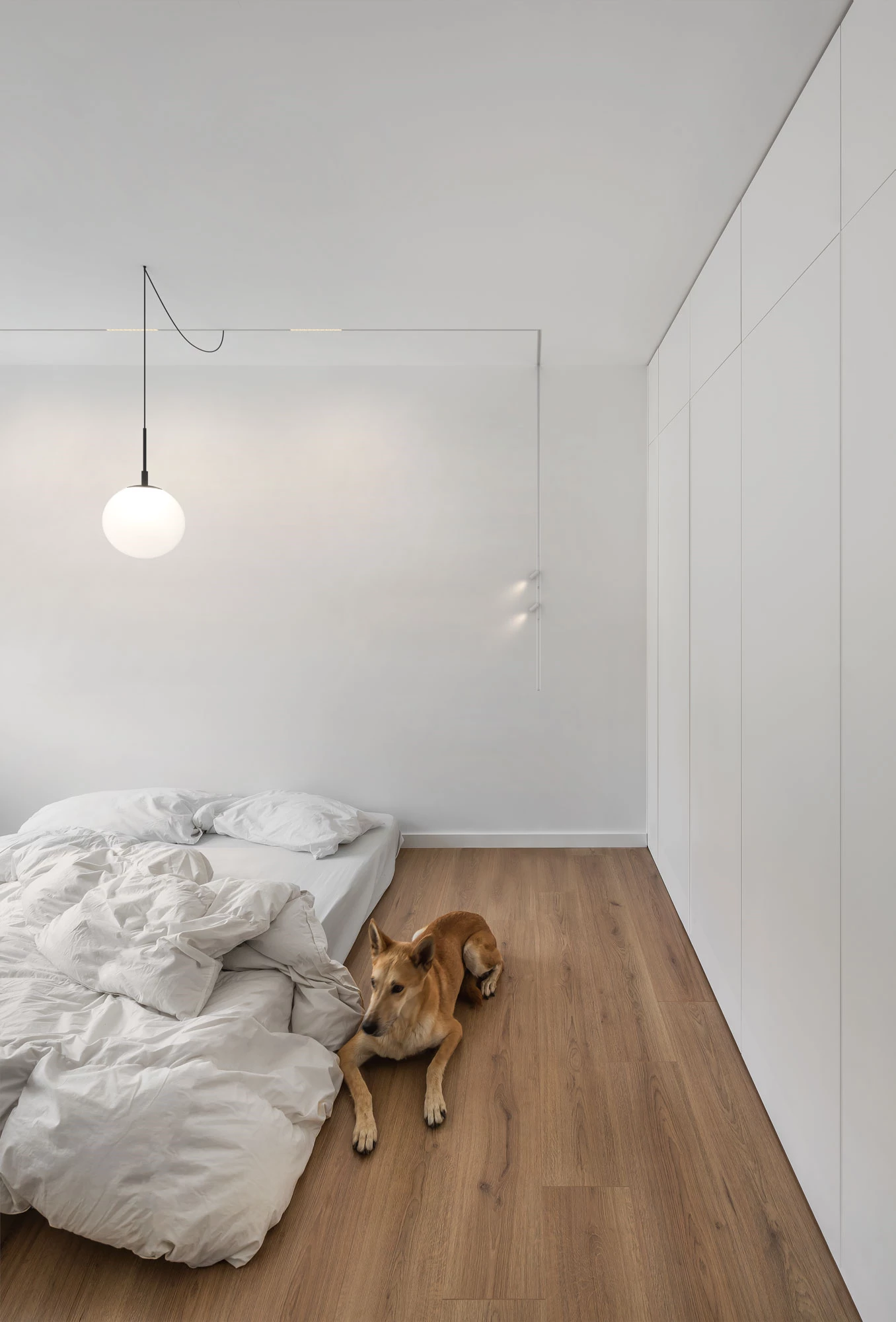 Minimal Track – almost invisible track system for seamless architectural lighting