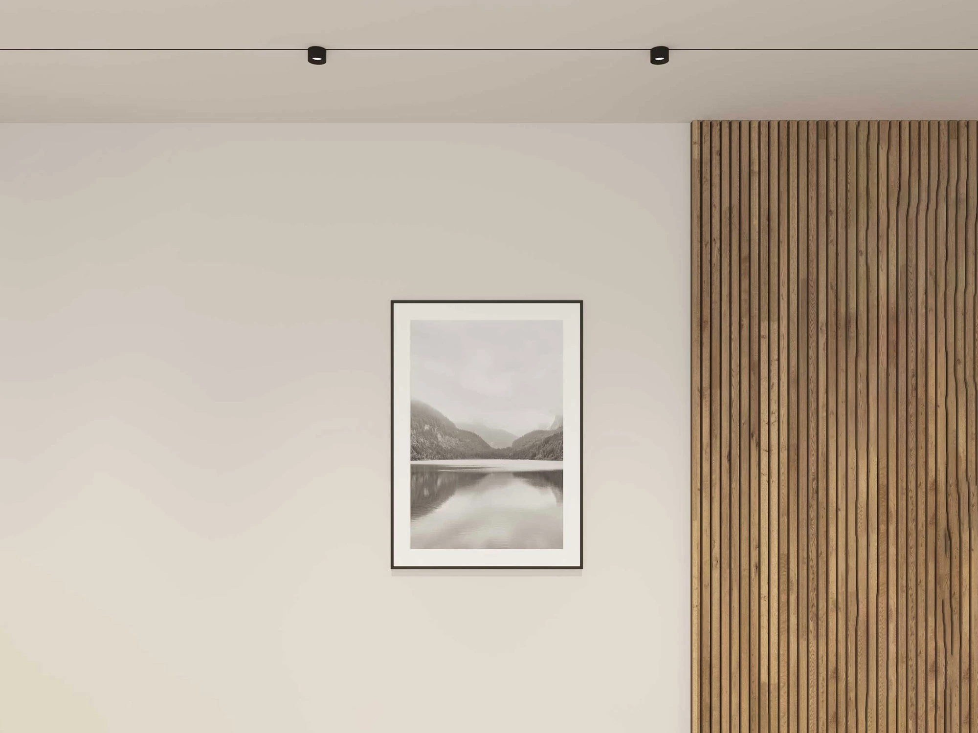 Just Black LED track system for targeted product lighting / painting lighting